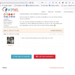 wpml-bug-18-06-2021 3-29-10 PM.png