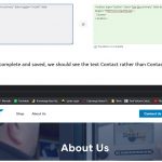 WPML Header Issue.jpg