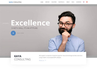 Kaya Consulting