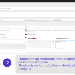 2_traduction-shortcode-perdue-apres-update-page-origine.png