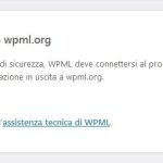 no_update_wpml_villa_la_dolce_vita_2.JPG