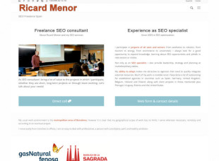 Ricard Menor consultor SEO Freelance