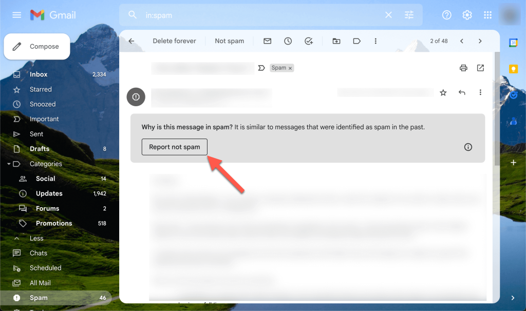Reporting an email as "not spam" in Gmail