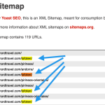 sitemap-duplicates.png