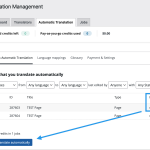 automatic-translation-selection.png