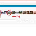 1 only 4.jpg