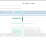 Advanced Translation Editor - WPML - Google Chrome.png