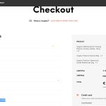 Problem Checkout page.jpg