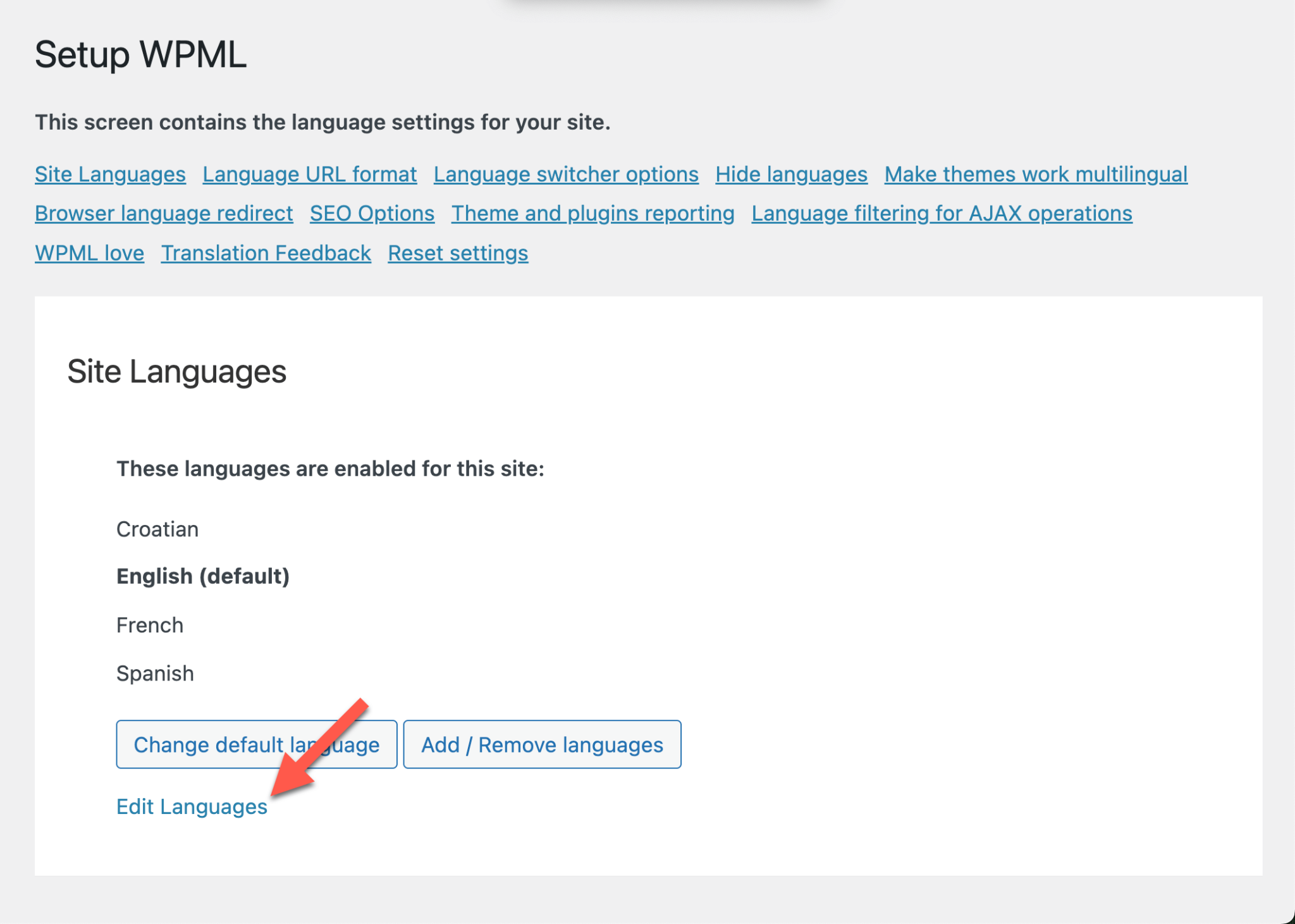 Using Custom Flags in WPML - WPML