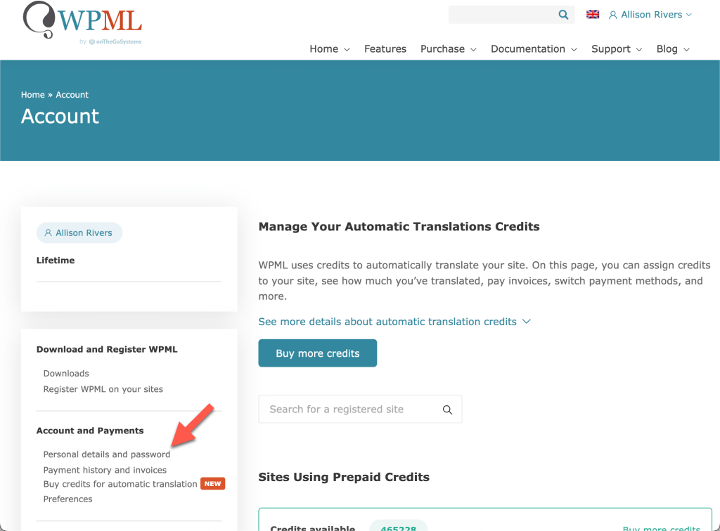 Accessing personal details and password on your WPML account page