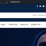 Homepage_switcher2.png