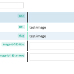 Advanced-Translation-Editor-WPML(1).png