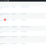 Articoli-‹-Caprari-—-WordPress.png