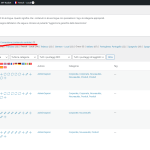 Articoli-‹-Caprari-—-WordPress (1).png