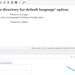 wpml settings - page.jpg