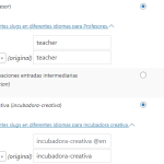 WPML config.png