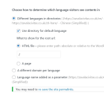 Screenshot 2023-06-22 at 13-43-31 Languages ‹ Search Executive Firm Zavala Civitas — WordPress.png