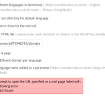Screenshot 2023-06-22 at 14-13-13 Languages ‹ Search Executive Firm Zavala Civitas — WordPress.png