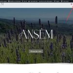 Screenshot of Ansèm - Enjoy Life Together.jpg