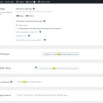 Screenshot of Lingue ‹ Ansèm — WordPress.jpg