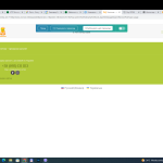 wpml-not-work.png