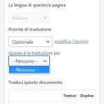 problema wpml.JPG