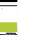 wpml-cipochka-some-problems-footer.png