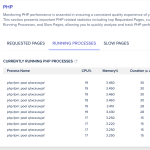 WPML PHP runnin processes 2023-07-19 at 10.26.19.png