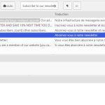 Mailpoet_Translations.JPG