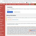 WPML Debug info shows MySQL 5.5 2023-07-27 at 20.32.42.png