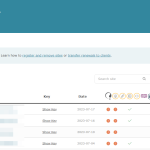 Sites - WPML - Google Chrome 2023-08-07 17.51.04.png