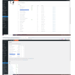 wpml_issue.png