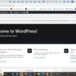 wpalso.jpg