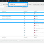 Traduction-de-chaînes-‹-Demers-Beaulne-Carrières-—-WordPress.png