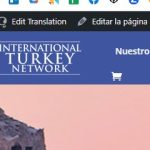 WPML-bug-1.jpg