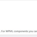WPML Update incomplete.jpg
