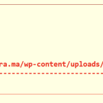 Screen Shot 2023-08-24 at 10.44.43 AM.png