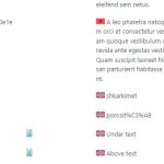 Albanian_English_WPML_String_Translation.JPG