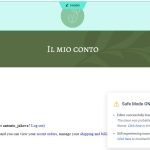 My_Account_Italian_Safe_Mode.JPG