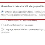 Languages-‹-Big-Bags-International-—-WordPress.jpg