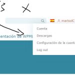 wpml-sitio-no-veo-los-sites.JPG