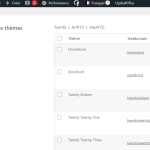 Issue_6_2_Theme_plugin translations.PNG