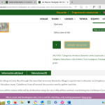 horseback product ES page = still English = tried to change twice and saved also url's.png