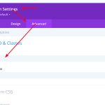 DIVI Feedback CSS ID [think CSS Class often Used for UK Language with DIVI Theme - General CSS].png
