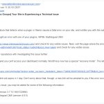 WPML error email.png