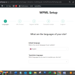 wpml configure2.PNG