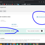 Translation management.PNG