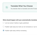 Settings ‹ WPML Testing — WordPress 2023-10-05 10-56-48.png