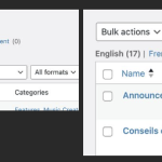 wpml-support.png