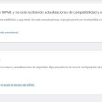 error WPML.jpg